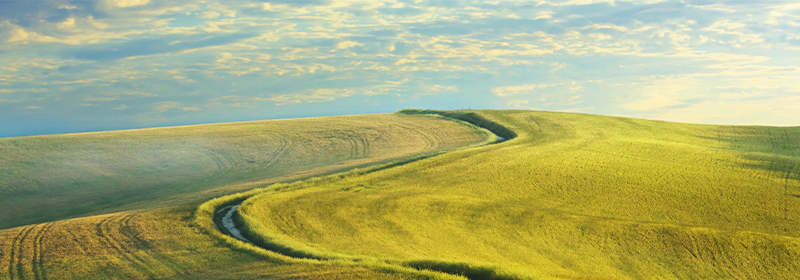 Indra rises in the Carbon Disclosure Project ranking and is one of the leading companies in the fight against climate change