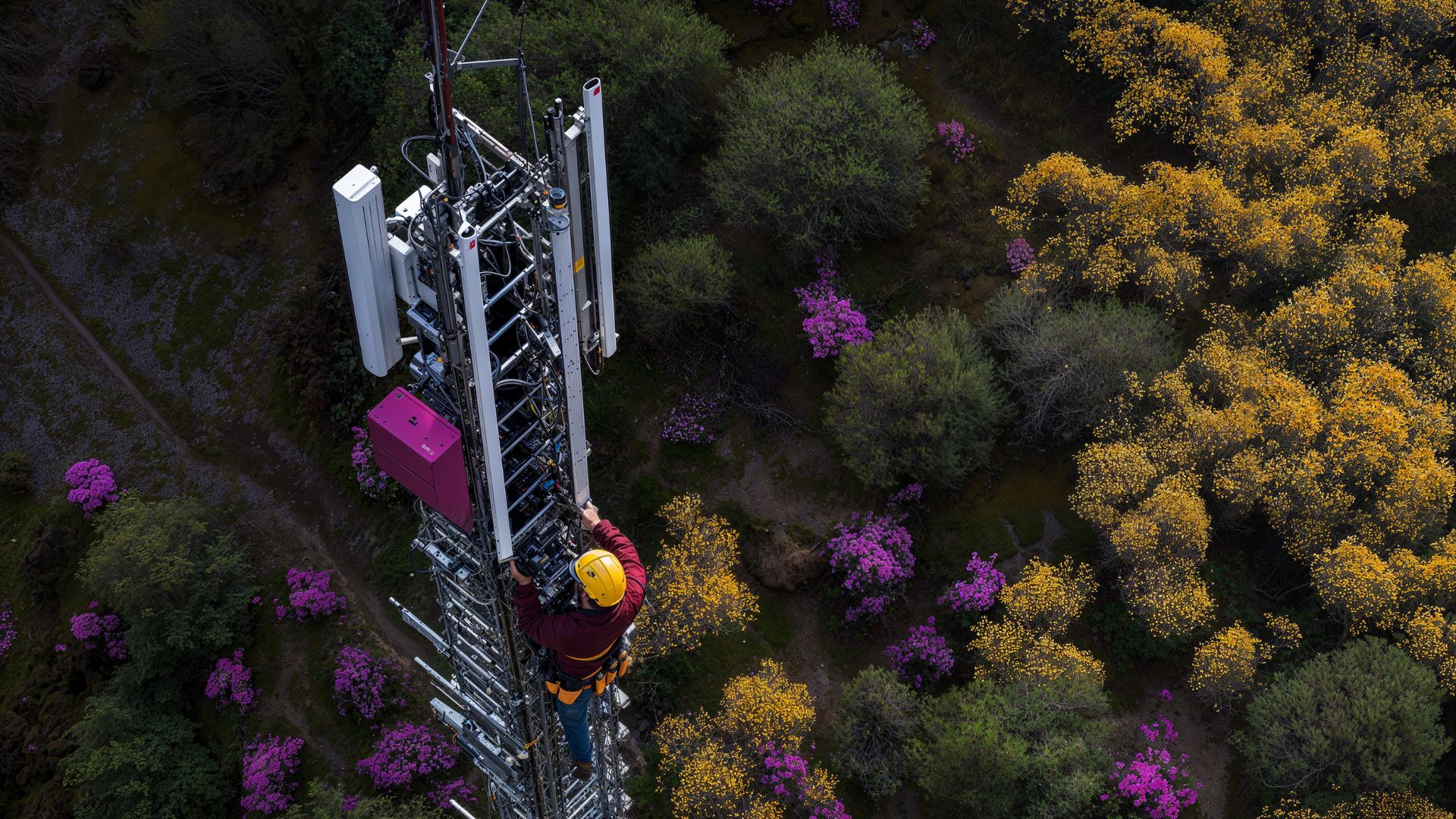 Nae, empresa de Minsait, presenta el primer mapa del ecosistema FTTH en España