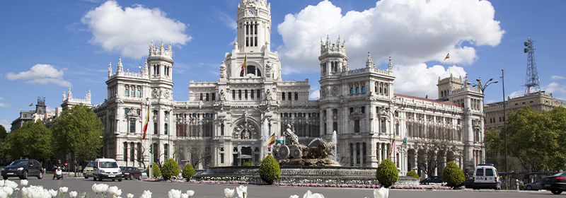 Madrid City Council